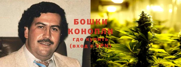 МДПВ Дмитриев