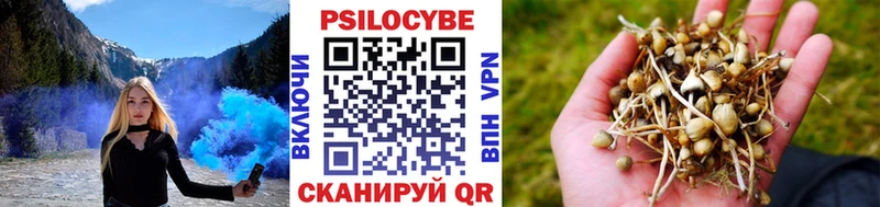 Галлюциногенные грибы Psilocybine cubensis  Приморск 